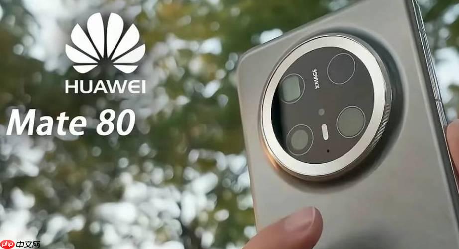 华为花瓣搜索网址导航全攻略_华为搜索引擎的特色功能与优势解析