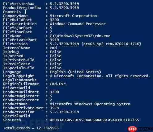 狩猎二进制重命名