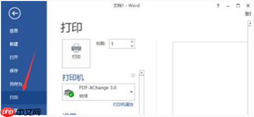  win10系统Word文档无法打印出图片的方法