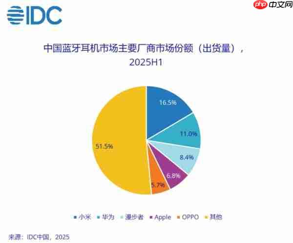 2025 上半年中国蓝牙耳机市场份额出炉：小米第一