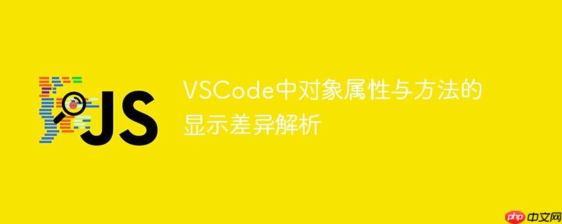 VSCode中对象属性与方法的显示差异解析