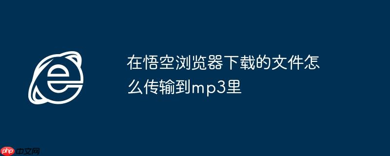 在悟空浏览器下载的文件怎么传输到mp3里