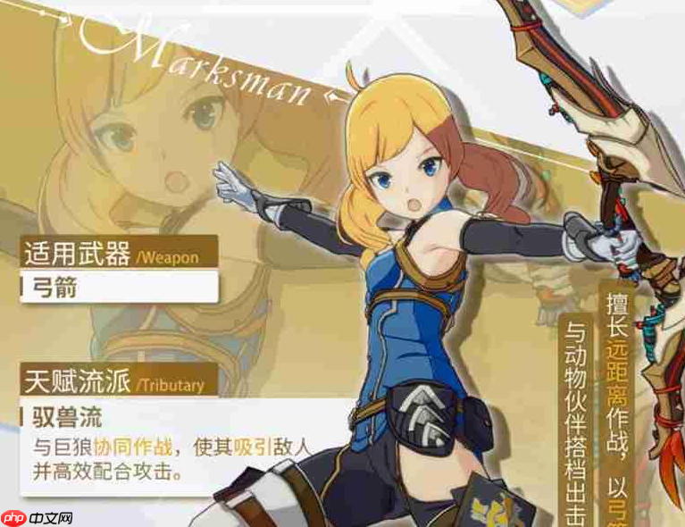 星痕共鸣神射手驭兽流该怎么玩-星痕共鸣神射手驭兽流玩法介绍