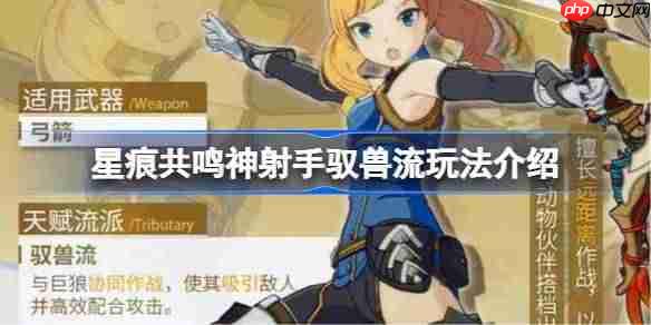 星痕共鸣神射手驭兽流该怎么玩-星痕共鸣神射手驭兽流玩法介绍