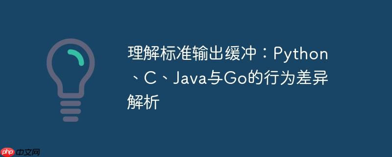 理解标准输出缓冲：Python、C、Java与Go的行为差异解析
