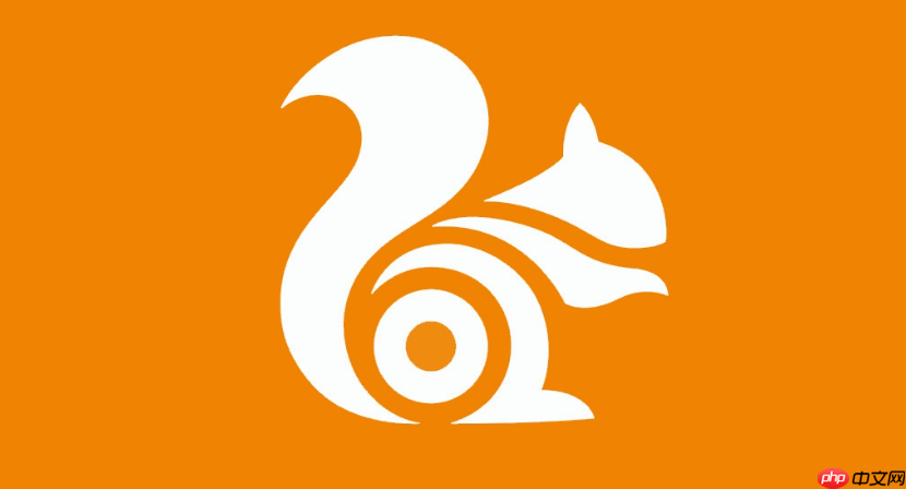 uc浏览器电脑版快速入口_uc浏览器手机端直接进入链接