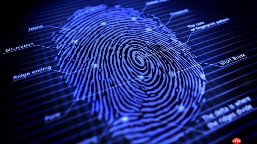 ie浏览器不能录指纹是什么原因 兼容性问题及替代方案