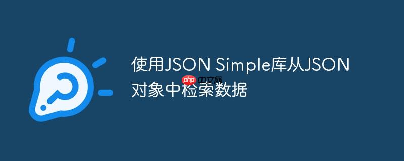 使用json simple库从json对象中检索数据