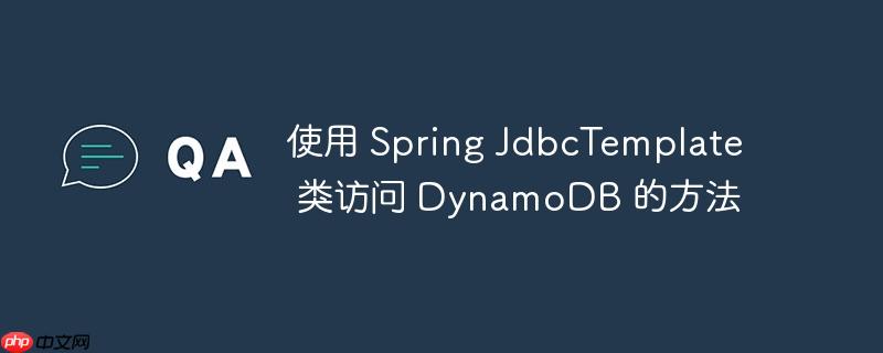 使用 Spring JdbcTemplate 类访问 DynamoDB 的方法