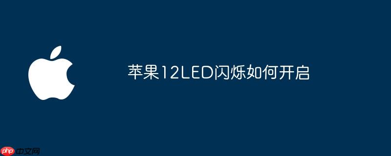 苹果12LED闪烁如何开启