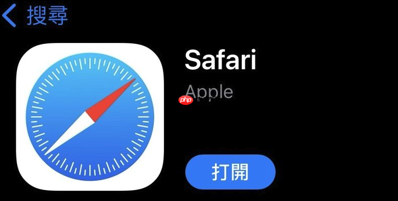 苹果浏览器图片怎么缩小_Safari网页图片缩放与查看技巧教程