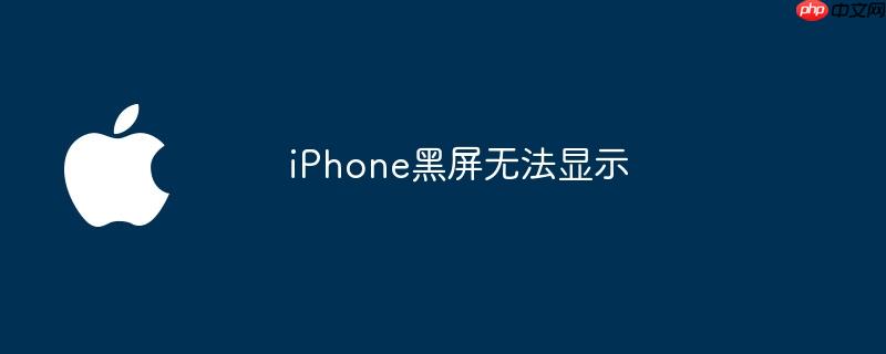 iPhone黑屏无法显示