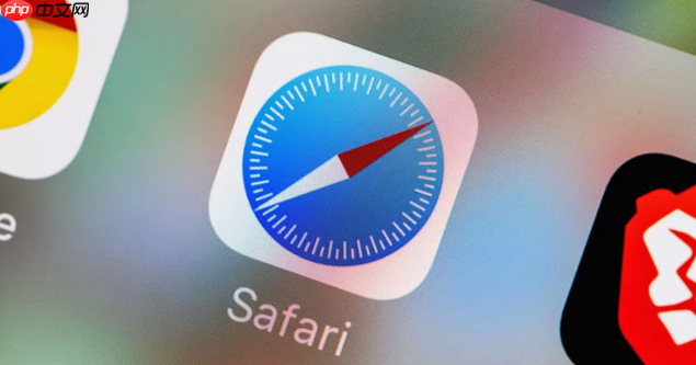 怎么开启苹果手机浏览器_iphone safari启用与默认设置教程