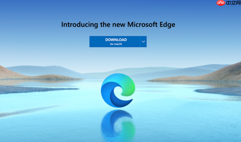 edge浏览器高效使用入口 浏览器edge登录地址快速获取