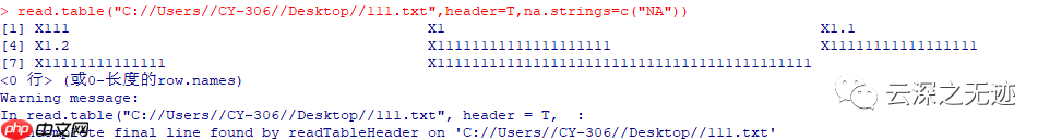 R读取TXT