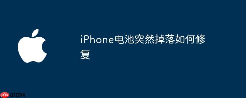 iPhone电池突然掉落如何修复