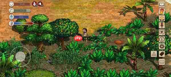 村落人生不同区域资源分配一览