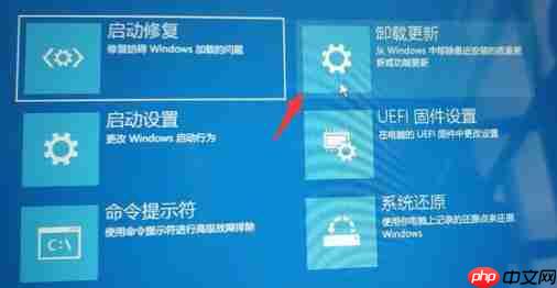 Win11退回Win10按键没反应怎么办？Win11退回Win10按键没反应解决