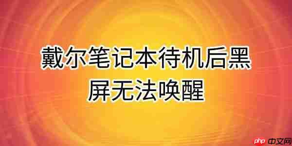 戴尔笔记本待机后黑屏无法唤醒的原因及解决方法