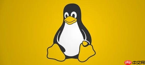 如何在Linux中查看登录历史 Linux last命令审计分析