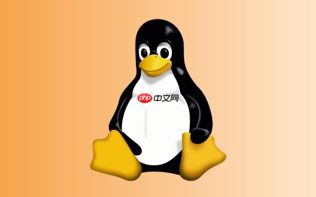 如何在Linux中测试解析 Linux dig查询参数详解