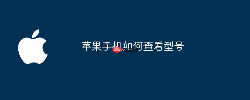 苹果手机如何查看型号
