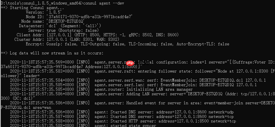 基于Spring Cloud Consul的服务注册与发现
