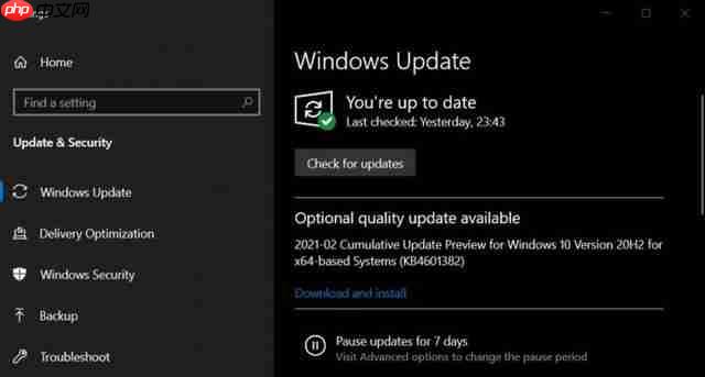 Win10 20H1/20H2获可选更新：修复IE内存泄漏等问题