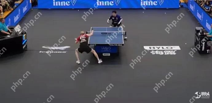 樊振东德甲首秀失利，俱乐部发文鼓励 - 创想鸟