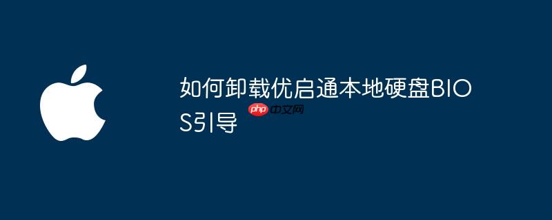 如何卸载优启通本地硬盘BIOS引导