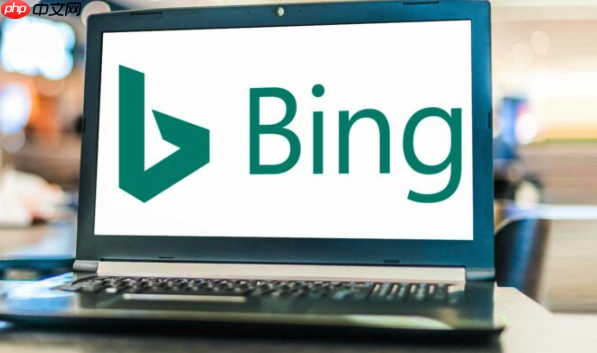 探索bing浏览器在线搜索优势 bing搜索引擎全球信息获取技巧
