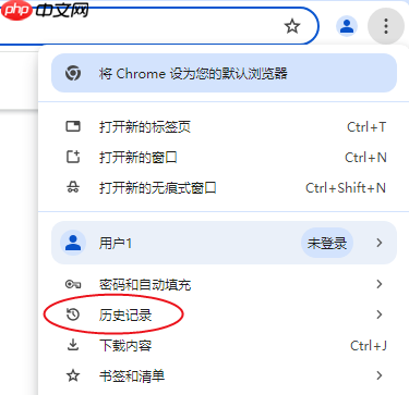 网页怎么恢复历史记录 三步教你高效恢复！