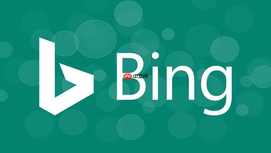 使用bing在线浏览器搜索方法 bing搜索引擎高效信息查询教程