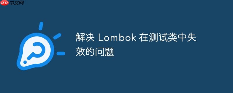 解决 Lombok 在测试类中失效的问题