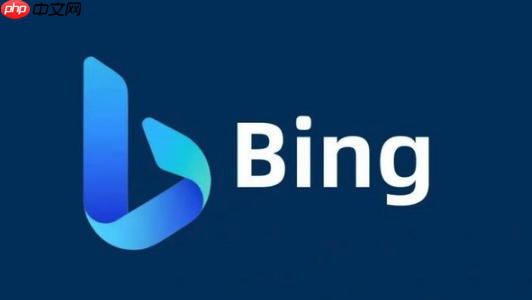 快速上手bing搜索浏览器在线 bing搜索引擎链接地址操作指南