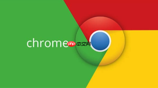 谷歌浏览器404错误处理-Google浏览器404故障排除指南