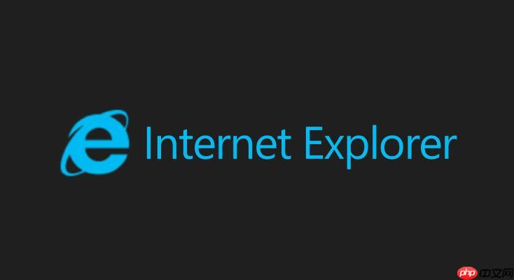 ie浏览器官方网页版入口-ie浏览器绿色版一键登录