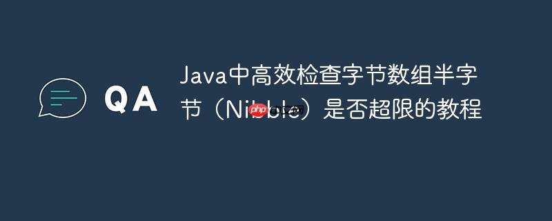 Java中高效检查字节数组半字节（Nibble）是否超限的教程