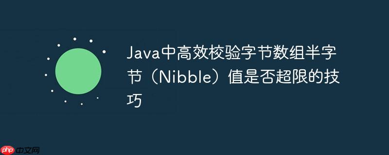 Java中高效校验字节数组半字节（Nibble）值是否超限的技巧