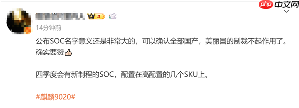 5nm可期！消息称华为今年四季度发布麒麟9030：会有几个型号