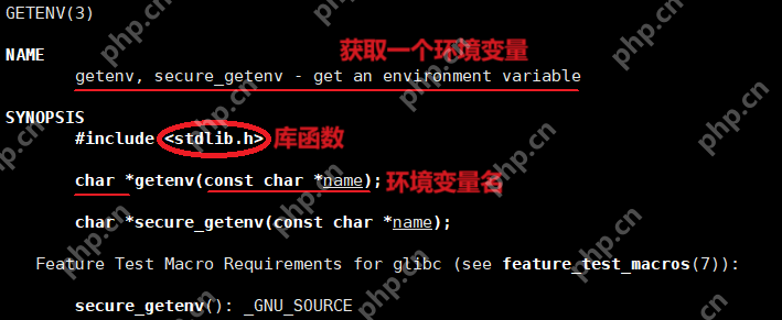 深入理解Linux环境变量 - 创想鸟