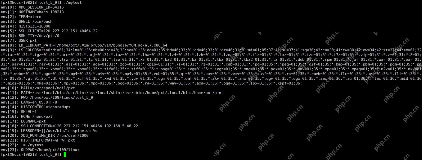 深入理解Linux环境变量 - 创想鸟