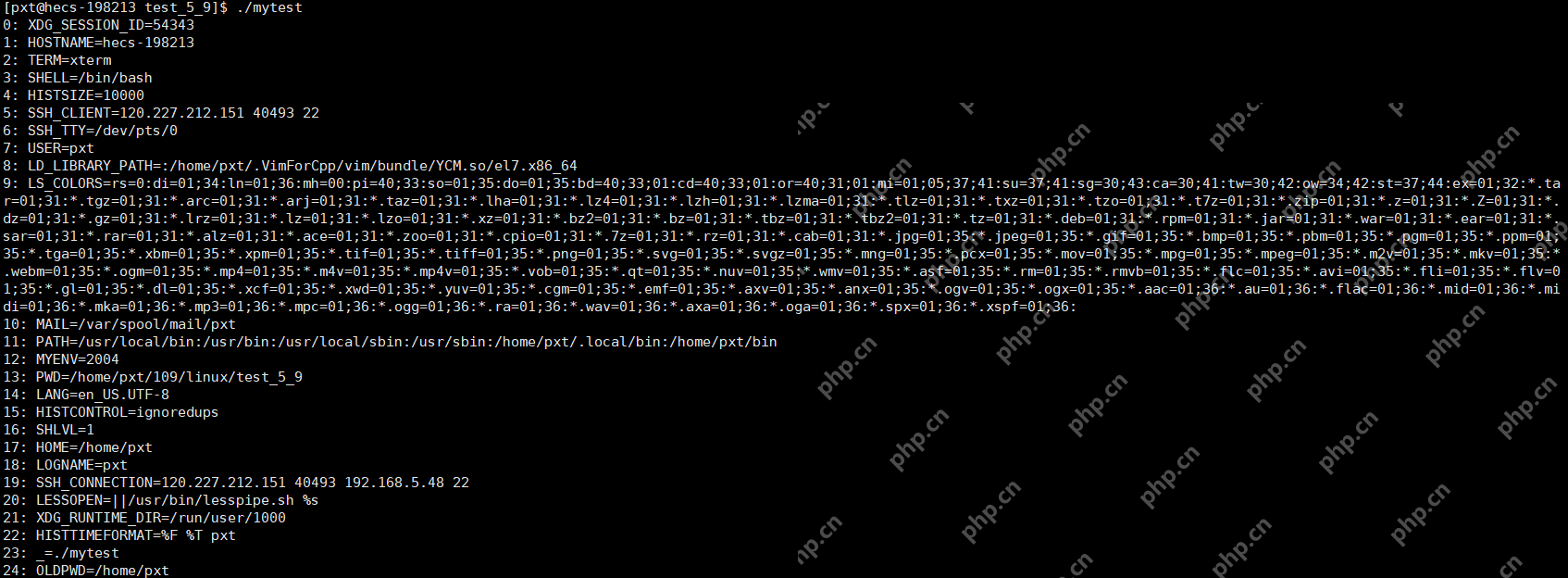 深入理解Linux环境变量 - 创想鸟