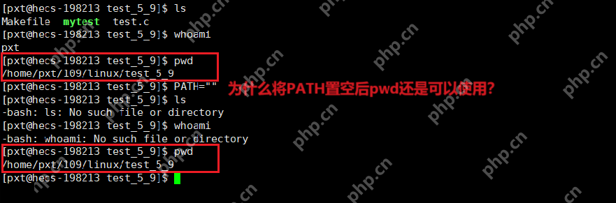 深入理解Linux环境变量 - 创想鸟