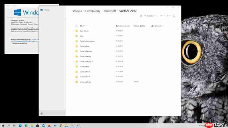 如何在PC上安装Win10X的现代化文件管理器