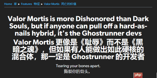 Eurogamer试玩第一人称新类魂《不朽遗志》：不像《黑魂》像《羞辱》