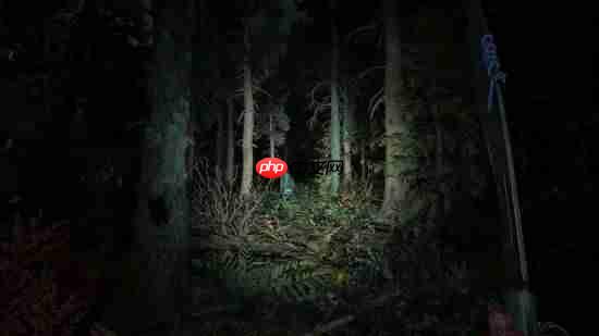 《消光困兽》官宣新料！惊悚夜晚与夜魔大加强