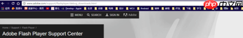 谷歌浏览器adobe flash player不是最新版本该怎么办？