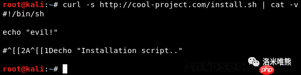 Terminal Escape Injection