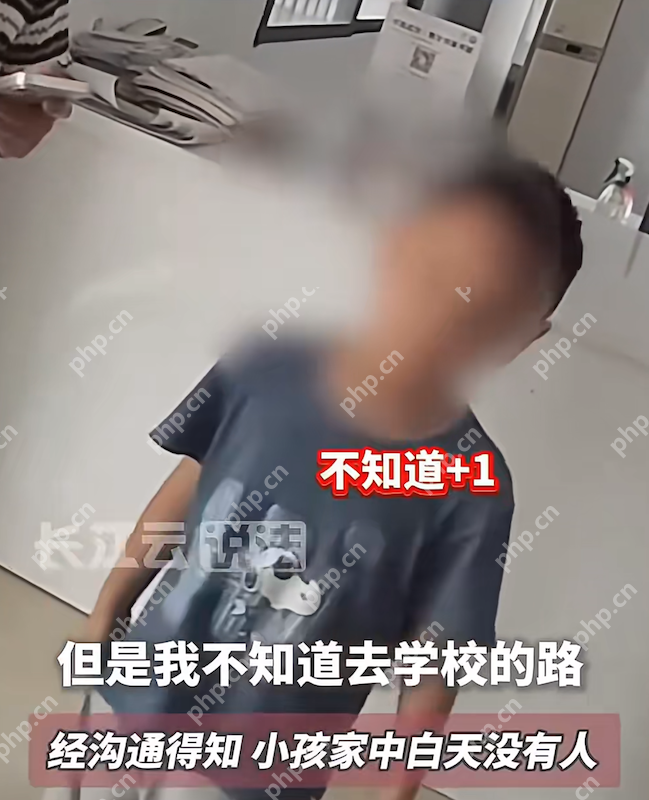 一年级新生开学次日街头“流浪”，乌龙真相让人哭笑不得 - 创想鸟